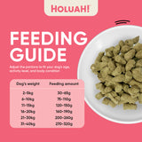 Holuah! Freeze Dried Raw Salmon for Dogs (380g)