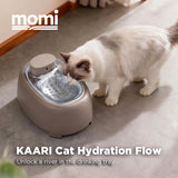 Momi Kaari Hydration Flow Standard - Sofia Brown