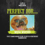 Absolute Holistic Liquid Treats for Cats & Dogs - Salmon Bisque Original (Tub) | (15g x 60 Sticks)