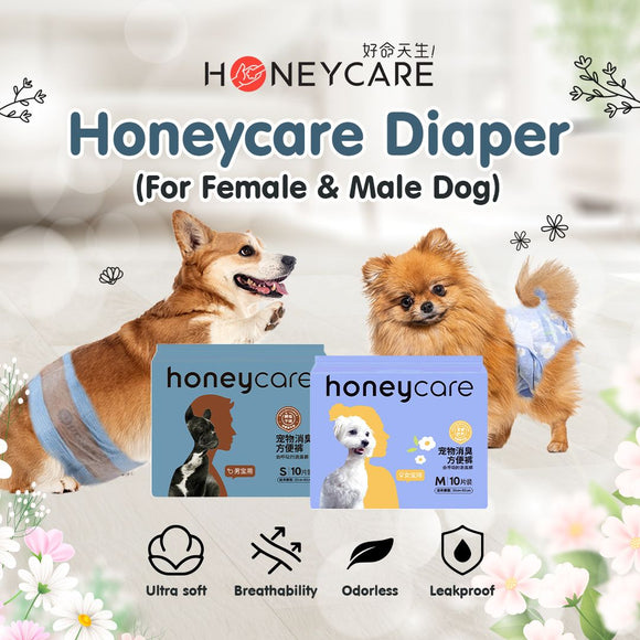 Honeycare Female & Male Dog Diaper (10pcs/pack)