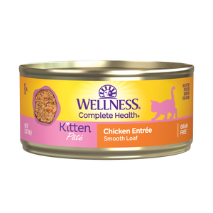 Wellness Complete Health Kitten Pate Chicken Entree Canned Food for Cats (5.5oz)