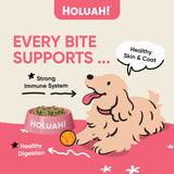 Holuah! Freeze Dried Raw Salmon for Dogs (380g)