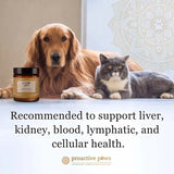 Proactive Paws - Liver Lift 45g