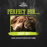 Absolute Holistic Liquid Treats for Cats & Dogs - Salmon Bisque Original (Tub) | (15g x 60 Sticks)