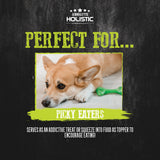 Absolute Holistic Liquid Treats for Cats & Dogs - Salmon Bisque Original (Tub) | (15g x 60 Sticks)