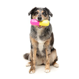 FuzzYard Interactive Dog Toy - Chill Pill