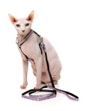 Fuzzyard Cat Walking Sets (Meowcarons) One Size