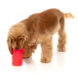 FuzzYard Chew & Interactive Dog Toy - Pina Coolada Freeze