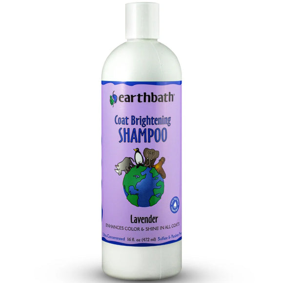 Earthbath Coat Brightener (Lavender) Shampoo for Dogs & Cats (2 sizes)