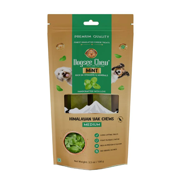 Dogsee Dog Cheese Treats Mint Medium Bars (100g)