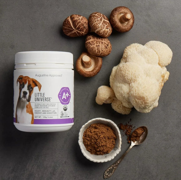 Augustine's Approved Little Universe (Organic Mushroom) for Dogs (3 sizes)