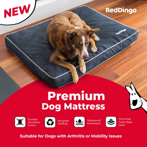 Red Dingo Premium Dog Mattress (2colors/3sizes)