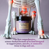 Proactive Paws - Mobility Matrix 45g