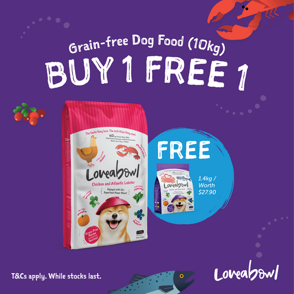 Loveabowl Grain Free Dry Food for Dogs (22lb/10kg)