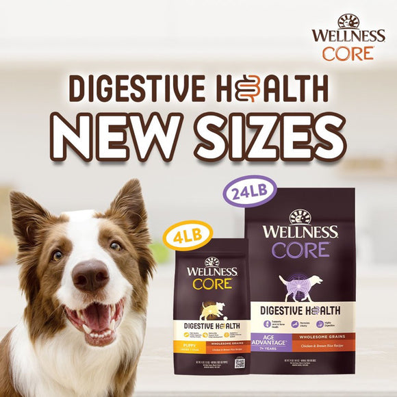 Wellness CORE Digestive Health Age Chicken & Brown Rice Recipe Dry Dog Food (2 sizes)