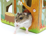[DM-24749] Animan Cardboard Playland for Hamsters - Forest