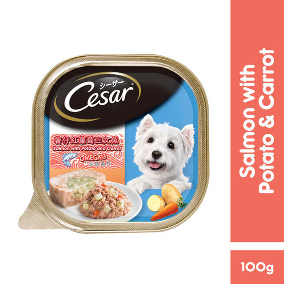 Cesar Wet Food for Dogs (Salmon with Potato & Carrot) 100g
