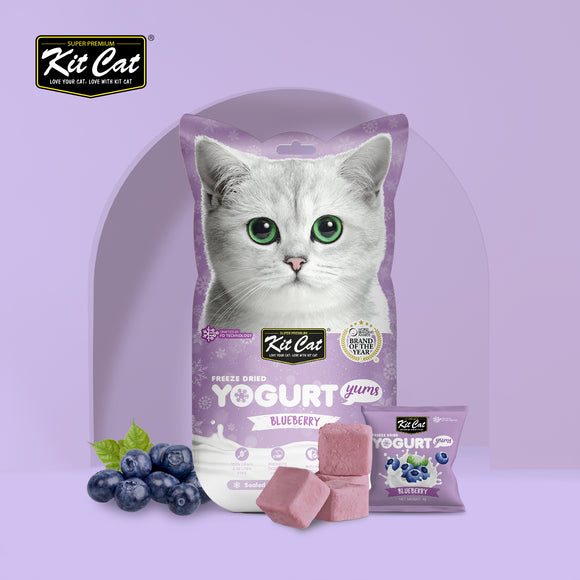 Kit Cat Freeze Dried Yogurt Yums Cat Treat - Blueberry (10pcs)
