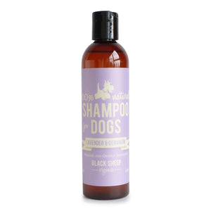 [LAVSH8] Black Sheep Organics Lavender & Geranium Organic Shampoo for Dogs (8oz/236ml)