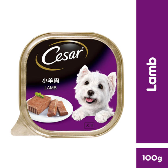 Cesar Wet Food for Dogs (Lamb) 100g