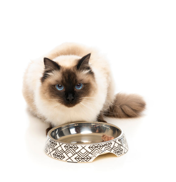 FuzzYard Cat Bowl (Gatsby)