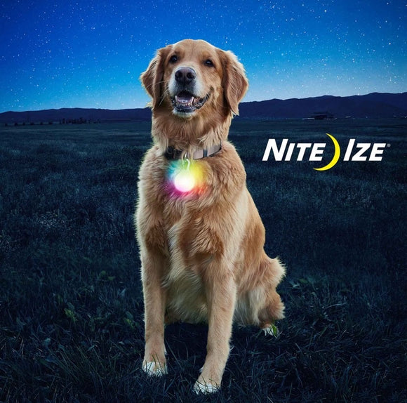 Nite Ize SpotLit XL Disc-O Select Rechargeable LED Collar Light