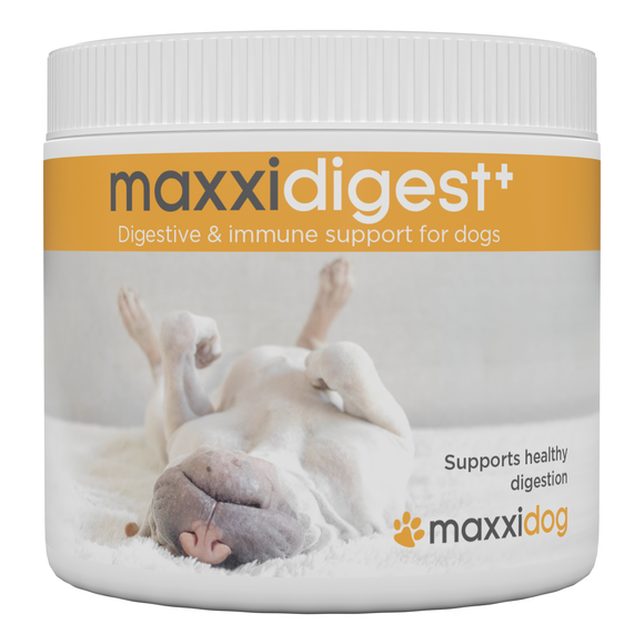 Maxxipaws Maxxidigest+ Digestive and Immune Support for Dogs (200g)