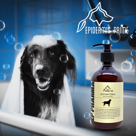 Epidermis Prime EP Pharma Anti-Bacterial Dog Shampoo (2 sizes)