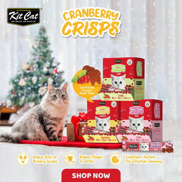 [1ctn=50pcs] Kit Cat Cranberry Crisps Cat Treats (20g x 50packs)