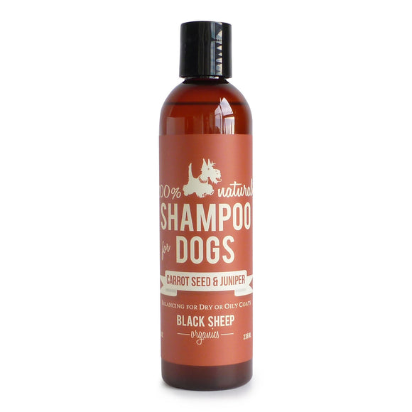[CARSH8] Black Sheep Organics Carrotseed & Juniper Organic Shampoo for Dogs (8oz/236ml)