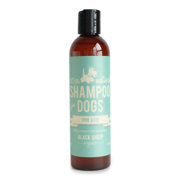 [PINSH8] Black Sheep Organics Pine & Fir Organic Shampoo for Dogs (8oz/236ml)